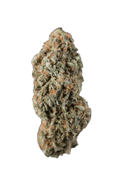 White Widow strain image