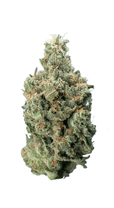 VVS Chem strain image