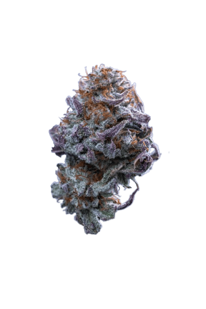 Oreoz strain image