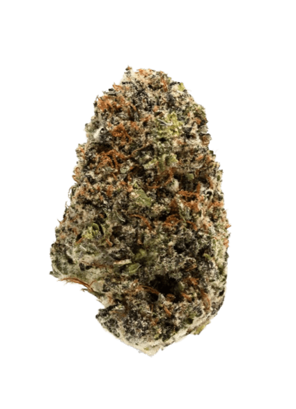 Blueberry strain image