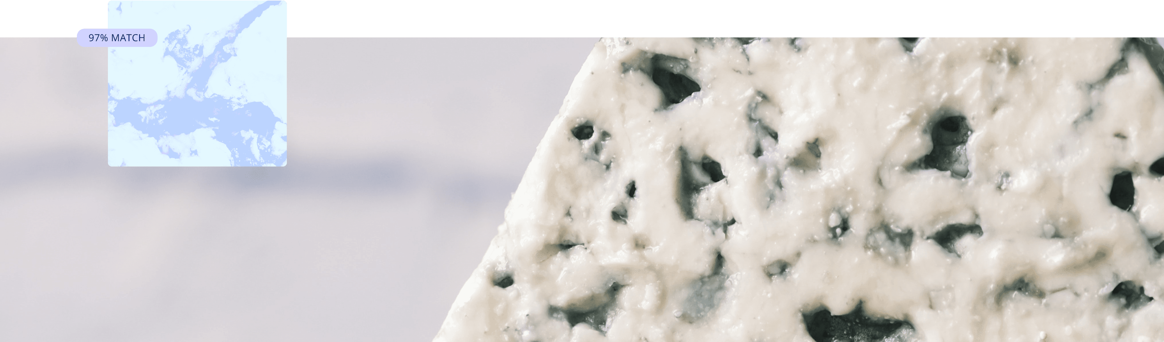 Blue Cheese collection cover