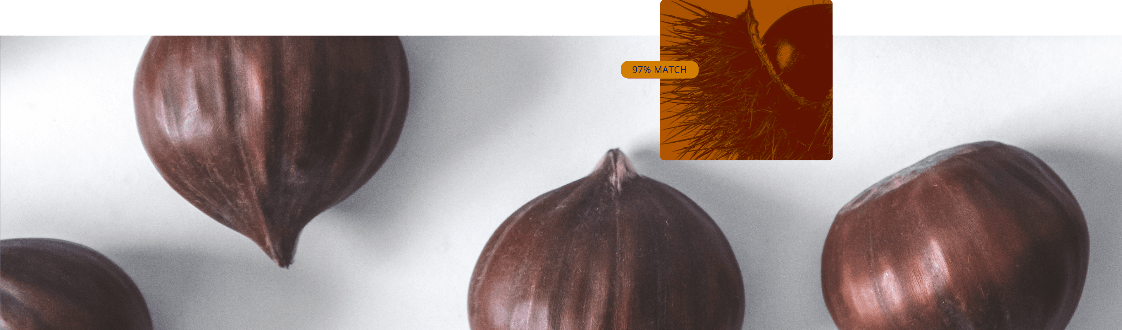 Chestnut collection cover