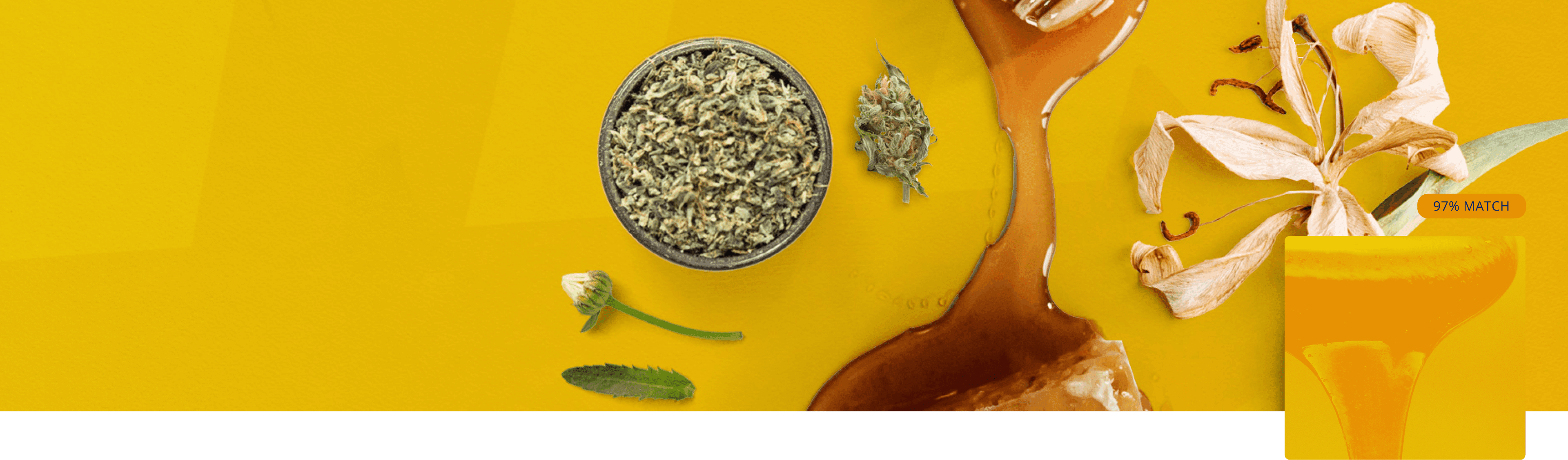 Alpha-Bisabolol terpene cover