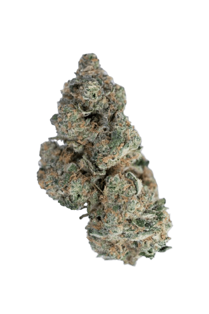 Cement Shoes strain image