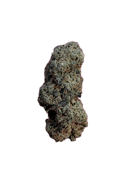 Cinderella 99 strain image