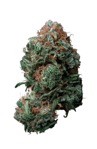 Sage and Sour strain image