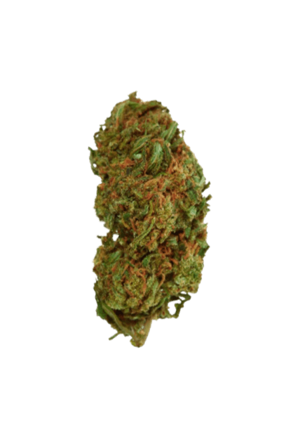 Durban Poison strain image