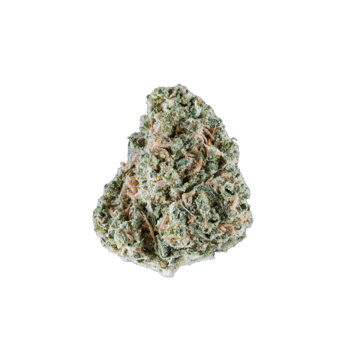 OG Kush strain image