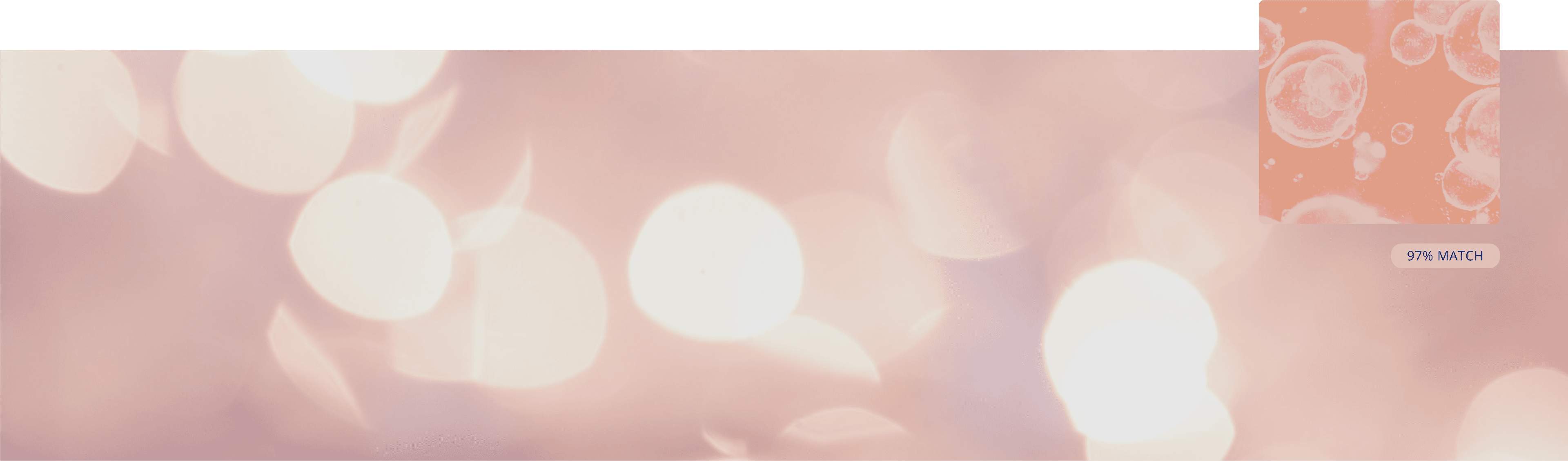 Happy collection cover