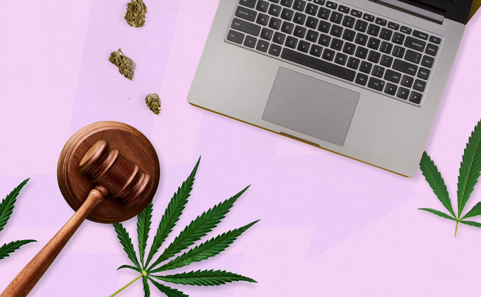 Cannabis Industry