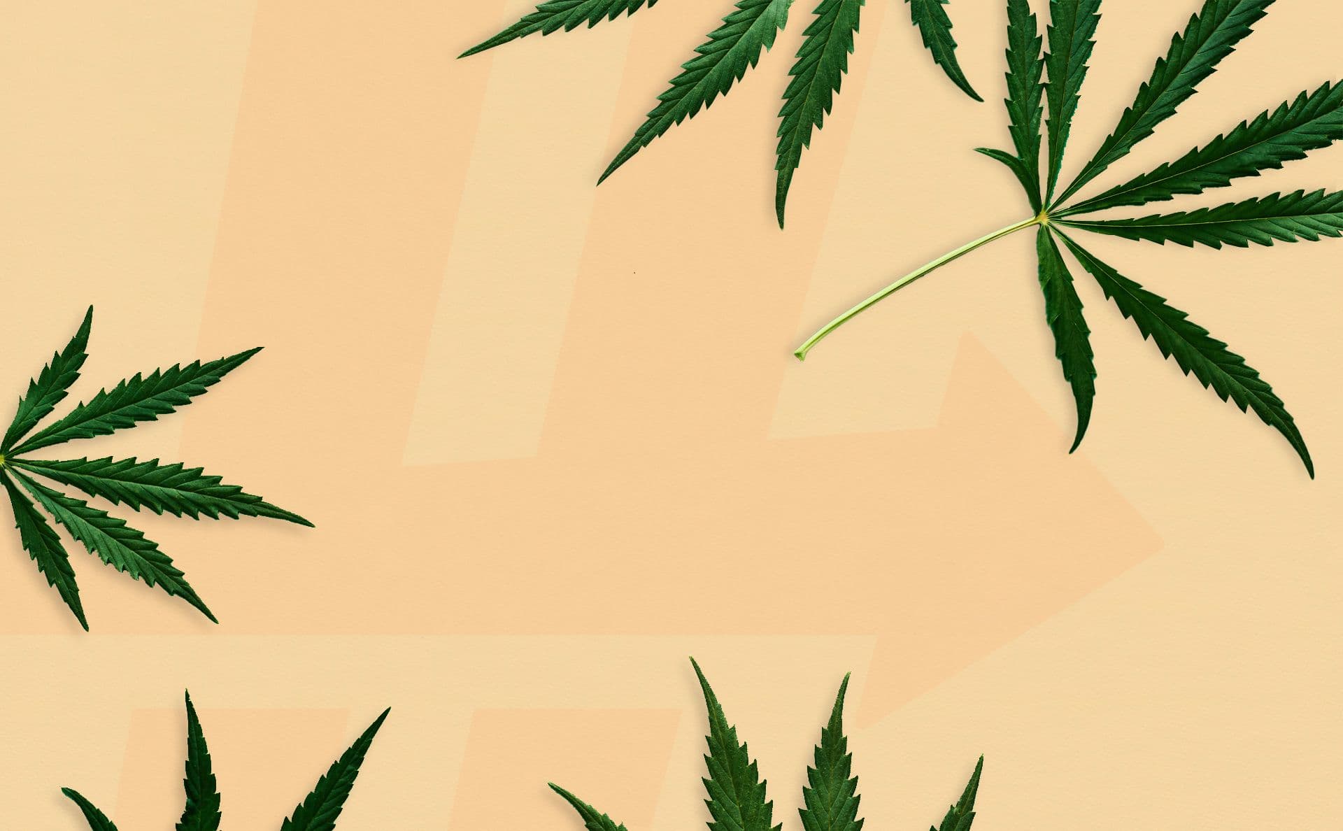 Hemp