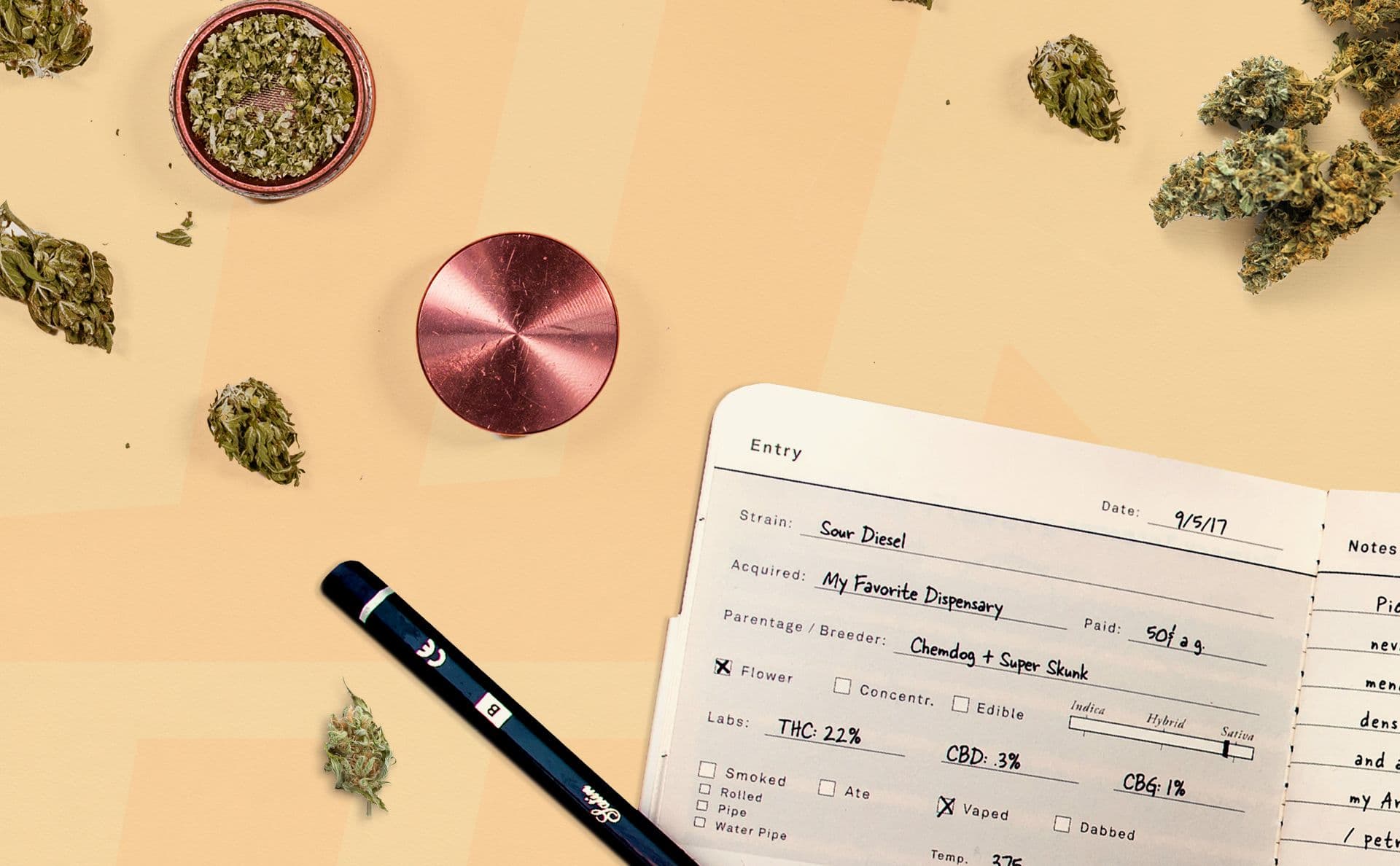 Cannabis Basics